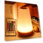 Touch Color Changing Bedside Lamp — Lamps & Shades, KaCoshi