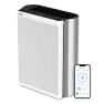 Air Purifier for Large Room — Air Purifier, LEVOIT