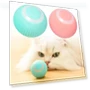 Automatic Rolling Exercise Chase Cat Toy — Cat Playthings, kuanhong