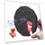 Smart Musical Boxing Trainer — Boxing Training Gear, Binchi Keji Travel