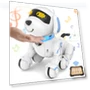 Robot Dog for Kids — Interactive Animal Companions, Dwi Dowellin