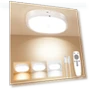 Rechargeable Motion Sensor Ceiling Light — Garden Illumination, KNHUOS