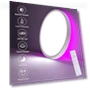 RGB Smart Ceiling Light — Overhead Lighting, HENTAG