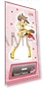 Acrylic Stand — Display Cases, hayatospeed