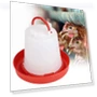 Automatic Chicken Feeder and Waterer — Poultry Hydration Solutions, Japan Zen Mall