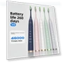 Automatic Silent Electric Toothbrush — Electric Toothbrush Heads, Binchi Health Technology