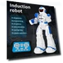 Gesture Recognition Robot with Remote Control — Interactive Figures & Robots, Oran Sky