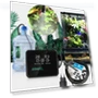 Humidifier with Touch Control — Air Moisturizers, Fairy Angel