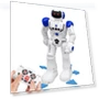 Intelligent Programmable Gesture Control Robot — Interactive Figures & Robots, MIYAKO