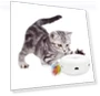 Electric Automatic Cat Ball — Cat Playthings, Zen Picks