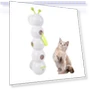 Intelligent Touch Stick for Teasing Cats — Cat Playthings, Mongolia1