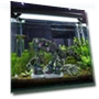 Micro Landscape Robot Dog Aquarium Decoration — Coral Decor, gaodaidecoe