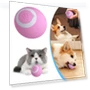 Self Rolling Ball Cat Interactive Ball — Cat Playthings, Xiangchang