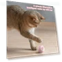 Smart Pet Toys — Balls, Mellowew