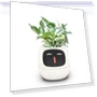 Smart Plant Pot — Artificial Plants, SAKURA BLOSSOM ITEMS