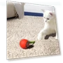 Automatically Moving Cat Toy Ball — Cat Playthings, Smart Pet Supplies