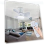 Ceiling LED Light Fixture with Fan — Ceiling Fans & Accessories, Seahorse Home