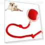 Chewie Ball Rolling Pet Toy — Balls, Diana Pet Stuff