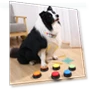Dog Communication Buttons — Whistles, Smart Pet Supplies