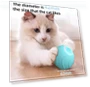 Interactive Smart Cat Toy Powerball 2.0 — Cat Playthings, Pet Zooo