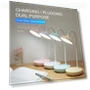 LED Foldable Desk Lamp with Touch Control — Study & Desk Lighting, Tuscan Sun