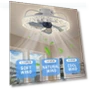 Modern Ceiling Fan with Lighting — Ceiling Fan Lighting Solutions, Luminaire Lighting Mall