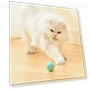 Rechargeable Automatic Rolling Interactive Dodge Ball — Cat Playthings