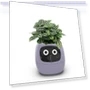 Smart Care Smart LED — Artificial Plants, Premium SPEED