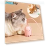 Smart Cat Toy — Cat Playthings, Pawstrip