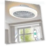 Smart Ceiling Fan with Light — Ceiling Fans, Luminaire Lighting Mall