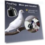 Smart Pet Collar — Trackers, Kitty Cat House