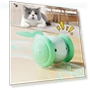 Automatic Moving Whale Car Toy — Cat Playthings, Love Pet House