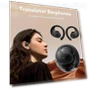 Bluetooth AI Wireless Earbuds with Real-Time Translation — Language Translators, Good Household Items