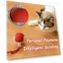 Interactive Cat Toy Ball — Cat Playthings, KITCHEN-MALL