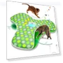 Interactive Cat Toy 'Hide and Seek' with Mouse — Cat Playthings, Fun Kitchen MALL