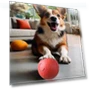 Interactive Smart Ball for Pets — Cat Playthings, Pet park