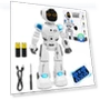Interactive Smart Robot with Remote Control — Interactive Figures & Robots, sepytia