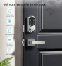 Smart Locks with 2 Lever Handle Set — Smart Lock, Veise