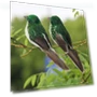 Feather Bird Simulation Garden Decoration — Garden Stakes, Cozy Cottage-Relax