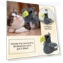 Electric Smart Pet Cat Toy — Cat Playthings, Shredded cabbage