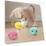 Interactive Ball — Cat Playthings, Fashionable bags