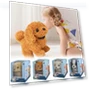 Realistic Robotic Puppy — Interactive Animal Companions, futures