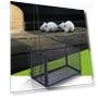 Smart Self-Locking Mousetrap — Traps, LY Gardening