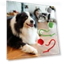 Interactive Pet Toy Ball — Interactive Animal Companions, Wahaha123