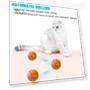 Interactive Smart Ball for Dogs — Balls, Pet park