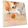 Interactive Smart Ball for Dogs — Balls, Love Pet House