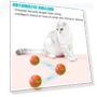 Interactive Smart Ball for Dogs — Balls, Yoga Da