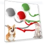 Rechargeable Electric Cat Toy Ball — Cat Playthings, Chengruike