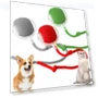 Rechargeable Electric Cat Toy Ball — Cat Playthings, Chengruike
