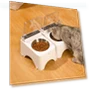 Smart Pet Feeding Bowl — Automatic Feeders, Build My Home